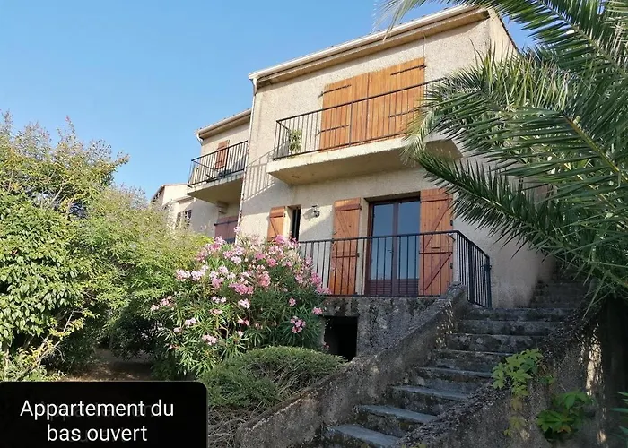 Avec Terrasse Vue شقة